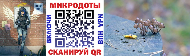 купить закладку Всеволожск Псилоцибиновые грибы мухоморы