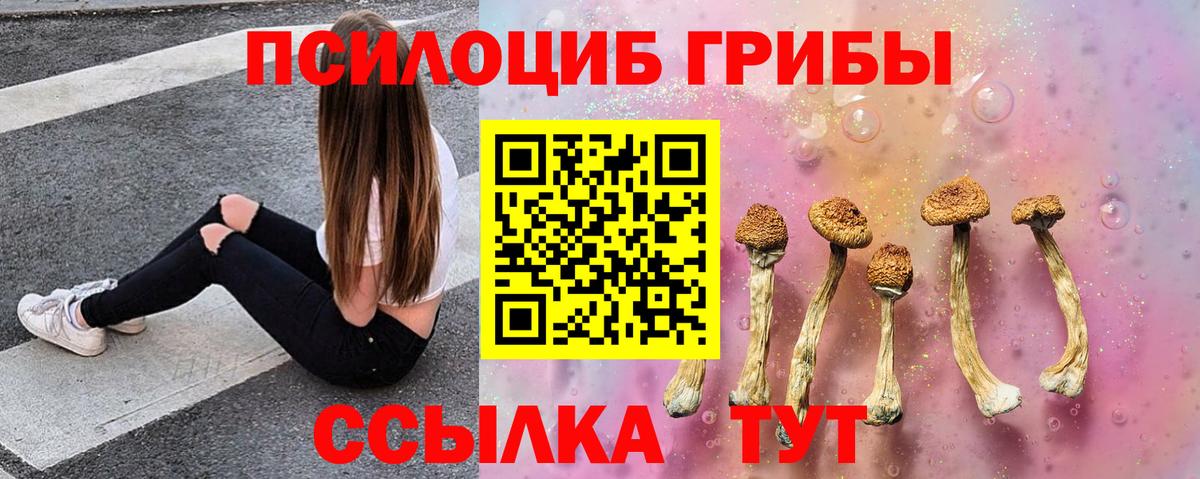 Галлюциногенные грибы Psilocybine cubensis  Вход с VPN  Всеволожск 