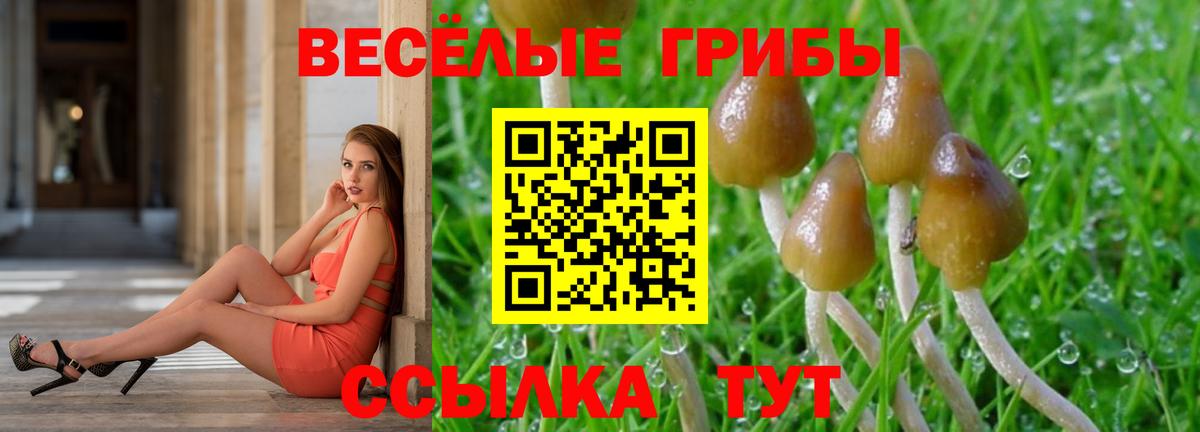 Галлюциногенные грибы MAGIC MUSHROOMS Всеволожск